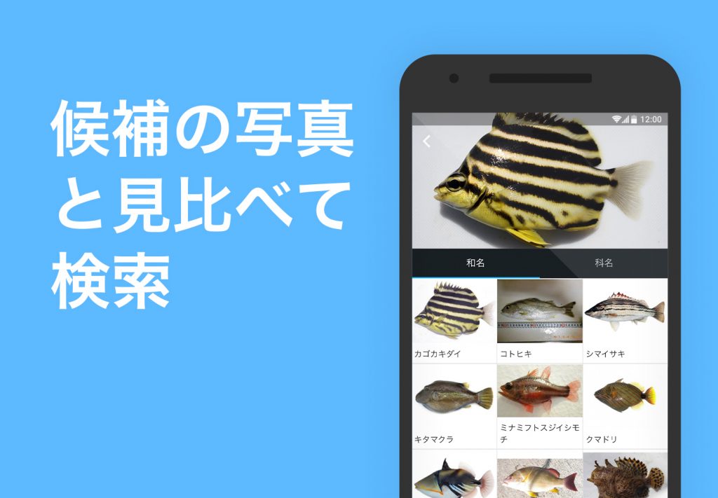 候補の写真と見比べて検索